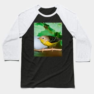 Yellow Warbler, Bird Photography Baseball T-Shirt